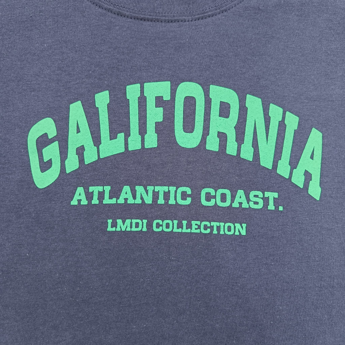 Camiseta Galifornia Atlantic Coast LMDI Collection (verde agua)