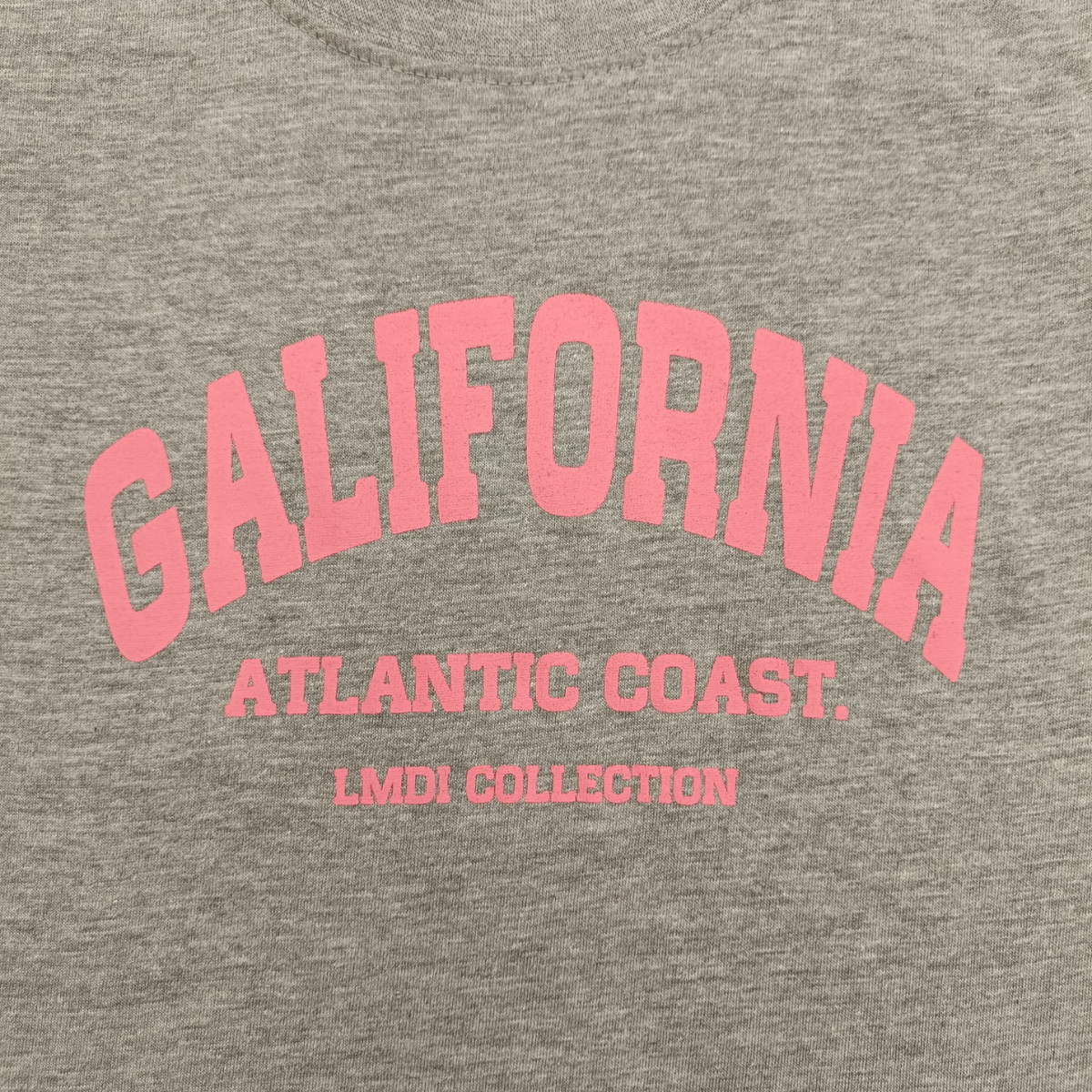 Camiseta Galifornia Atlantic Coast LMDI Collection KIDS gris/rosa chicle