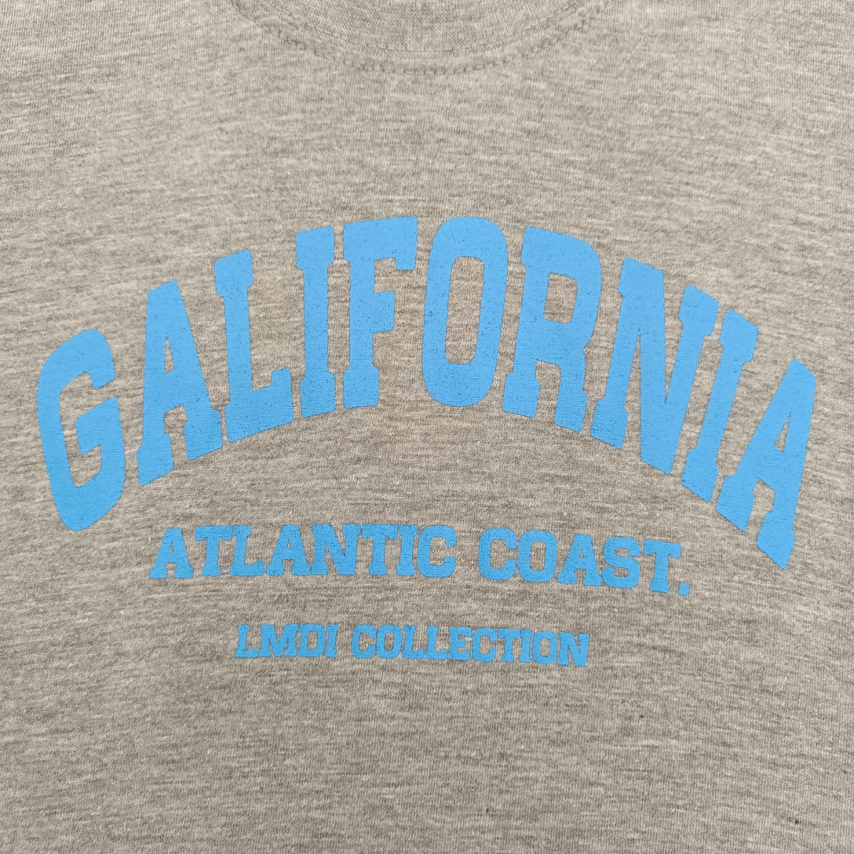 Camiseta Galifornia Atlantic Coast LMDI Collection KIDS gris/azul claro